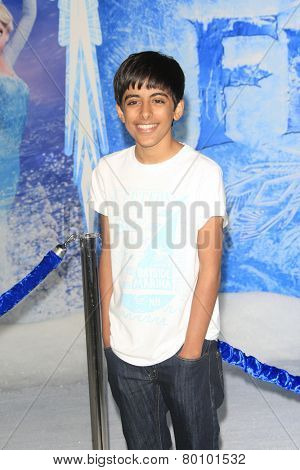 LOS ANGELES - NOV 19: Karan Brar at the premiere of Walt Disney Animation Studios' 'Frozen' at the El Capitan Theater on November 19, 2013 in Los Angeles, CA