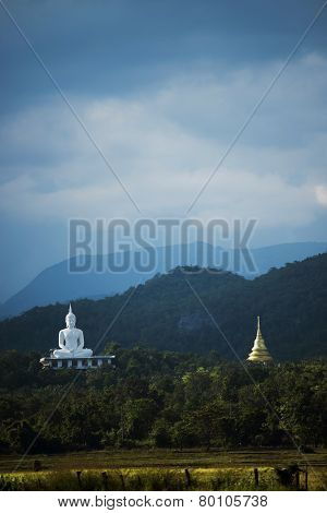 white buddha statue and havested field rice ,Thailand
