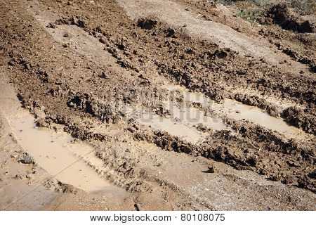 Dirt Road