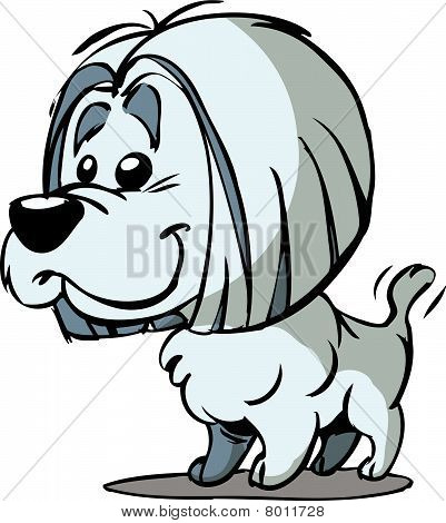 long hair white dog