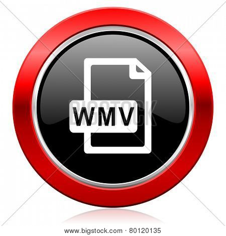 wmv file icon  