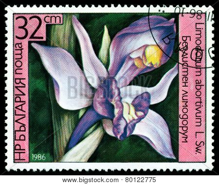 Vintage  Postage Stamp.limodorum Abortivum.
