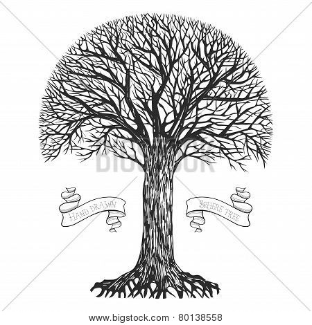 Silhouette of a tree