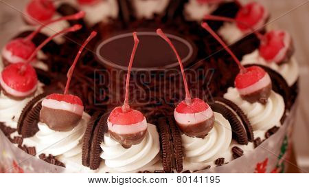 Colourful chocolate ice cream cake for celebration