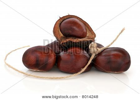 Conkers og streng