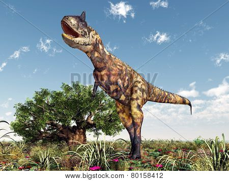 Dinosaur Carnotaurus