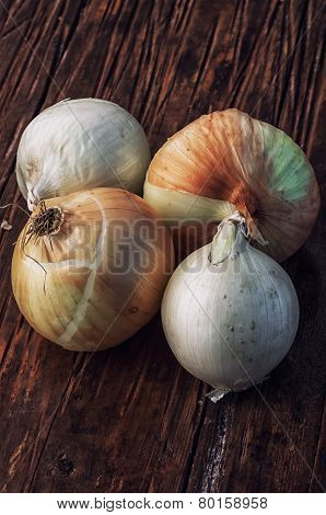 Harvest Onion