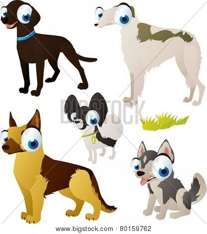 vector isolated cartoon cute animals set: dog breeds: shepherd, borzoi, spitz, labrador, husky