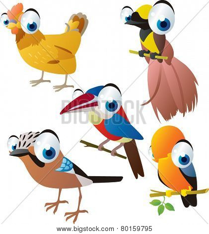 vector isolated cartoon cute animals set: birds: hen, bird of paradise, cockerel, jay, arasari