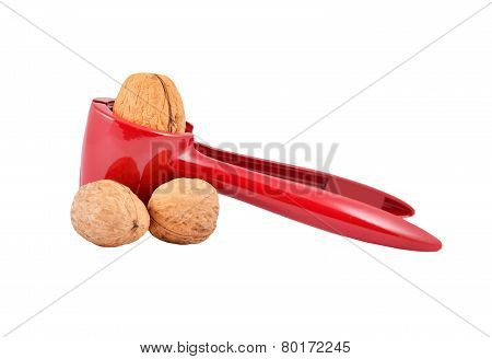 Nutcracker and nut
