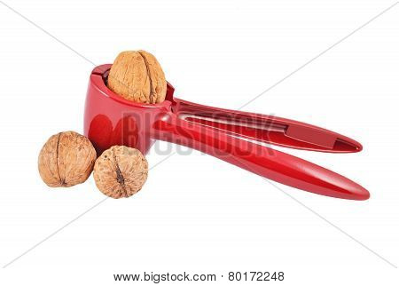 Nutcracker and nut