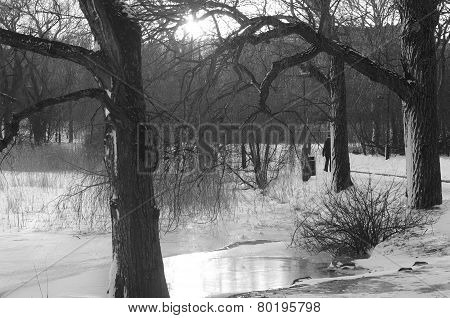 Parks of Helsinki