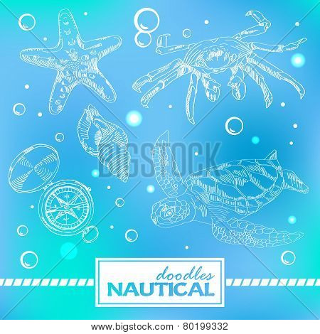 Set of nautical doodles with turtlesand crab