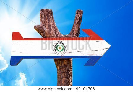 Paraguay Flag wooden sign with sky background