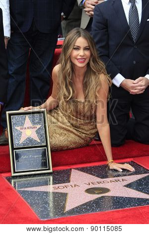 LOS ANGELES - MAY 7:  Sofia Vergara at the Sofia Vergara Hollywood Walk of Fame Ceremony at the Hollywood Blvd on May 7, 2015 in Los Angeles, CA
