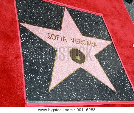 LOS ANGELES - MAY 7:  Sofia Vergara's Star at the Sofia Vergara Hollywood Walk of Fame Ceremony at the Hollywood Blvd on May 7, 2015 in Los Angeles, CA
