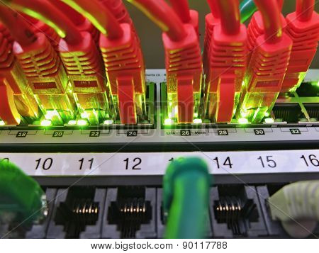 Network Cables Connected To Server
