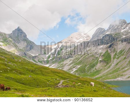 View Of The Glattalpsee (lake) And Ortstock In The Valley