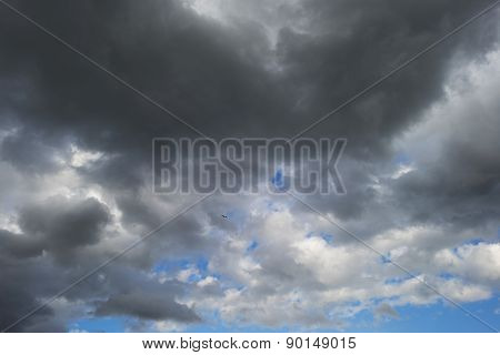 Bird flying into deteriorating weather in spring