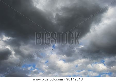 Bird flying into deteriorating weather in spring