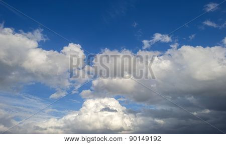 Bird flying into deteriorating weather in spring