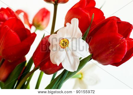 Bouquet Of Daffodils And Tulips