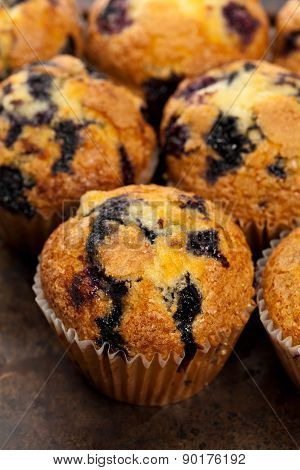 Blueberry Muffins