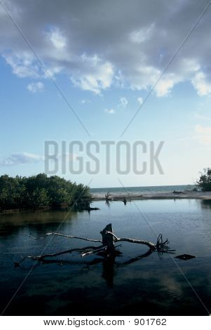 Ouvrez une session dans l'eau