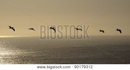 On course