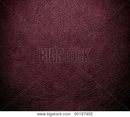 Catawba color leather texture background