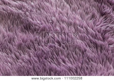 Closeup Purple Carpet Texture Background