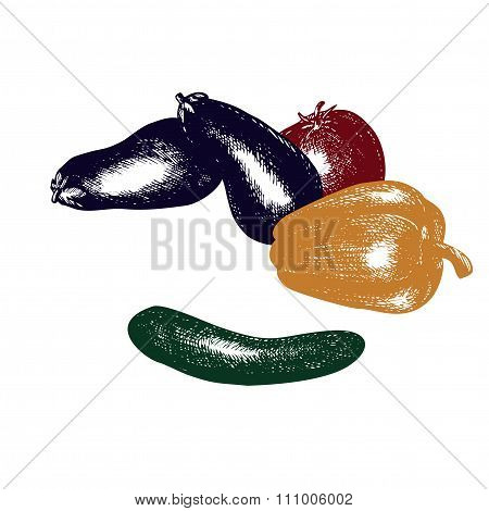 Realistic hand drawn vegetables, set of fresh healthy organic food