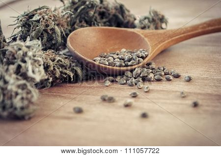 Cannabis Seeds And Money
