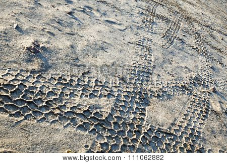 Wheel Tracks On The Sand