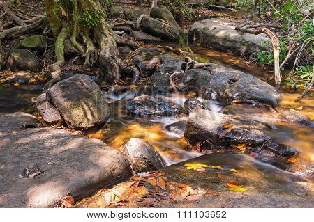 Brook At Kbal Spean