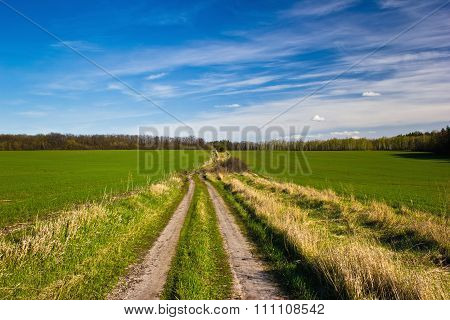 Early Spring Landscape