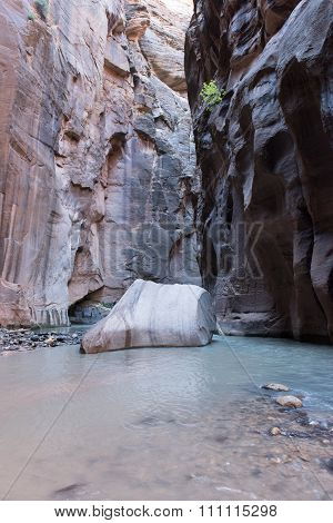 Canyon 02