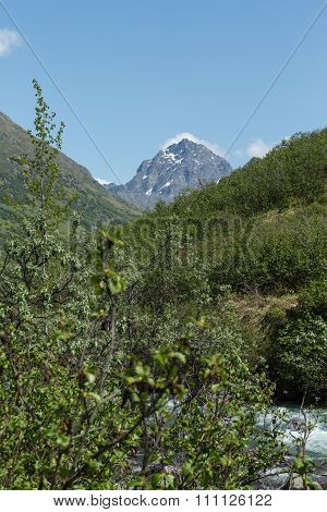 Alaskan Landscape