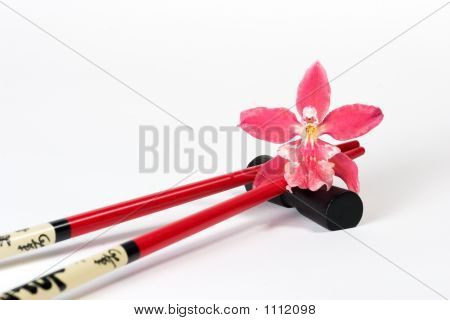 Bíbor orchidea és pálcika