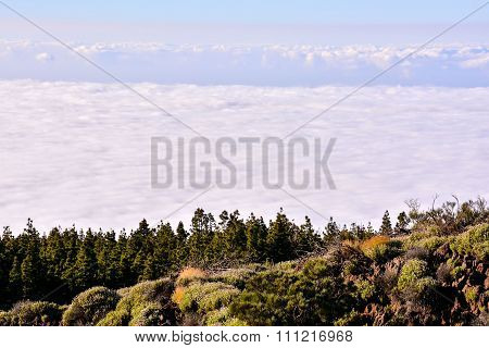 Mar de Nubes
