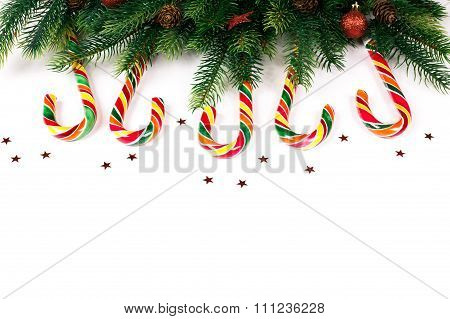 Christmas tree branches