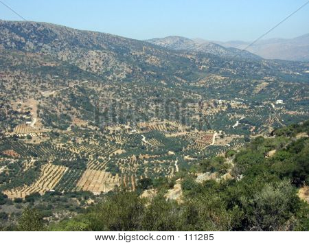 Fields Of Lato, Crete