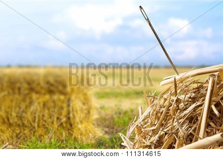 Needle in a Haystack.