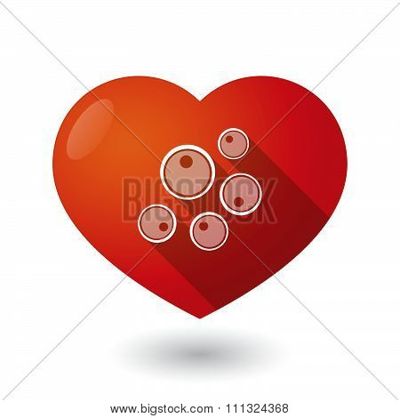Isolated Red Heart With Oocytes