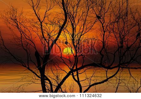 Tropical colorful sunset, Songkhla, Thailand