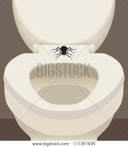 Spider on Toilet Seat