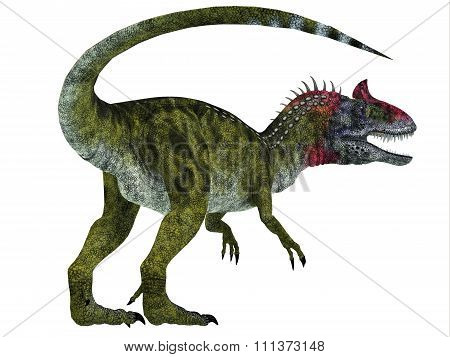 Cryolophosaurus Dinosaur Tail