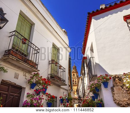 Flower Street Torre Del Aliminar Tower Mezquita Cordoba Spain
