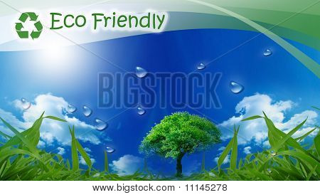 Eco Friendly