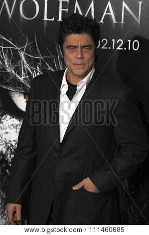 February 9, 2010. Benicio Del Toro at the Los Angeles premiere of 